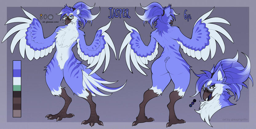 STANDARD REFERENCE SHEET