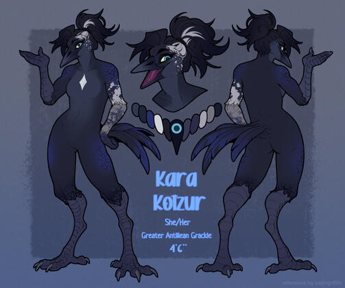 STANDARD REFERENCE SHEET